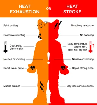 A visual guide to identifying heat exhaustion and heatstroke whilst in fursuit.