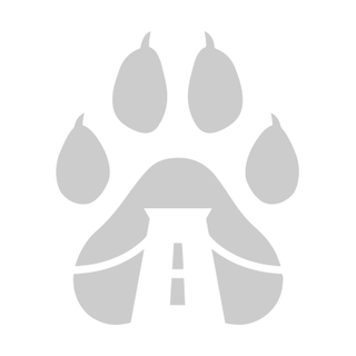 Ioaphiel